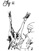 Figure 12: Unfortunately, few custom meat cutters will process goats, so you'll probably have to do the butchering yourself.